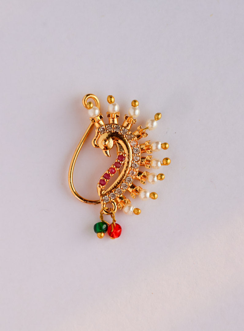 Tarini shine nosepin