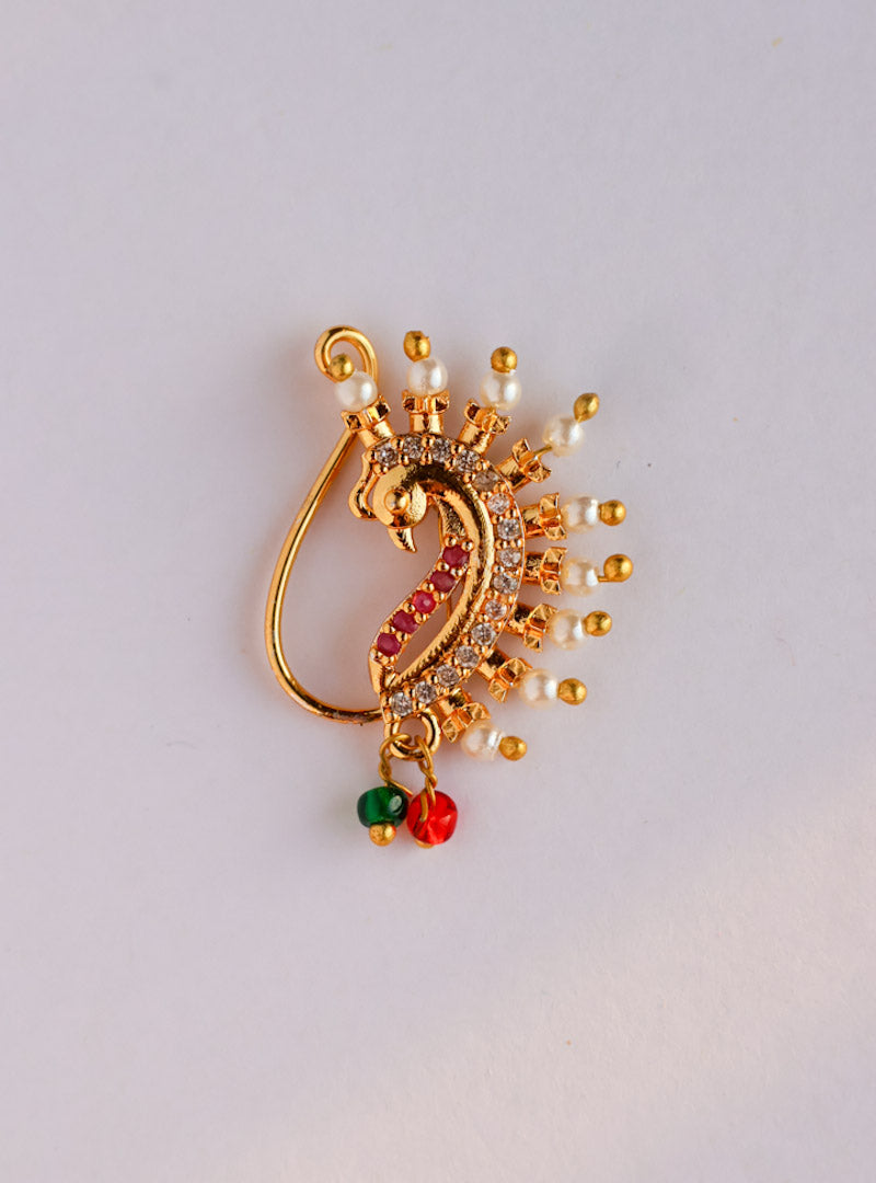 Tarini shine nosepin