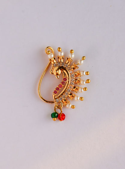 Tarini shine nosepin